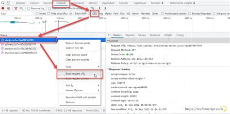 disable css chrome developer tools