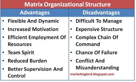 disadvantages of project organizational structure