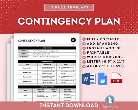 disaster contingency plan example