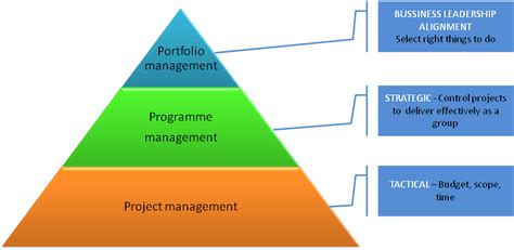 discuss the relationship between project program and portfolio management