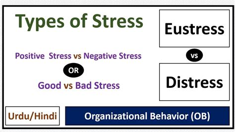 distinguish between positive and negative stress and give examples of each kind