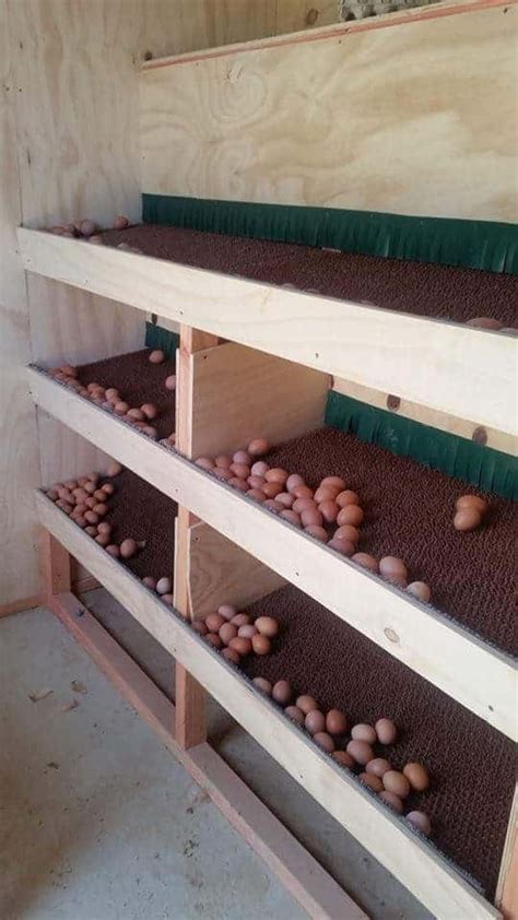 diy rolling egg box