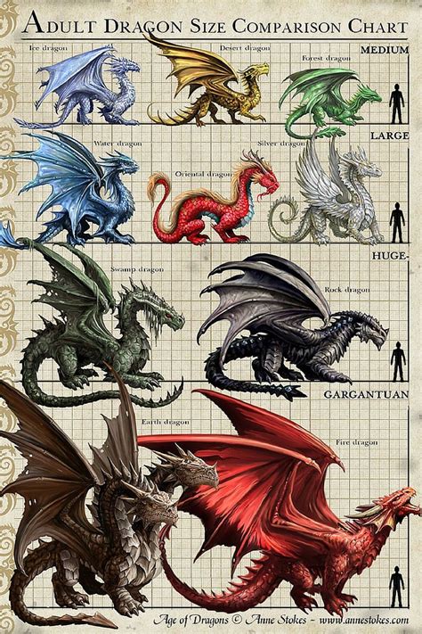 Dnd 5e Dragon Size Chart