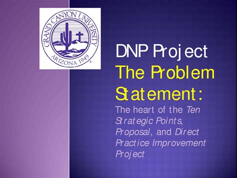 dnp project problem statement example
