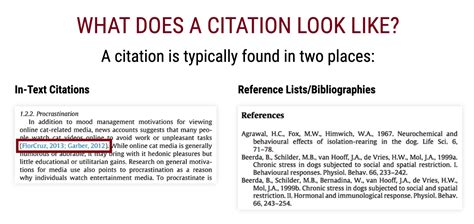 do you need to cite sources in an introduction