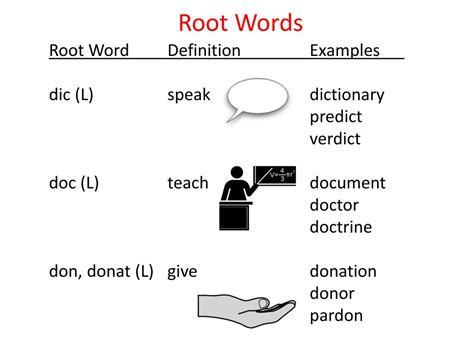 doc root word definition