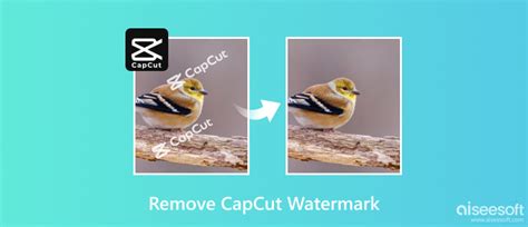 does capcut have watermark in free version