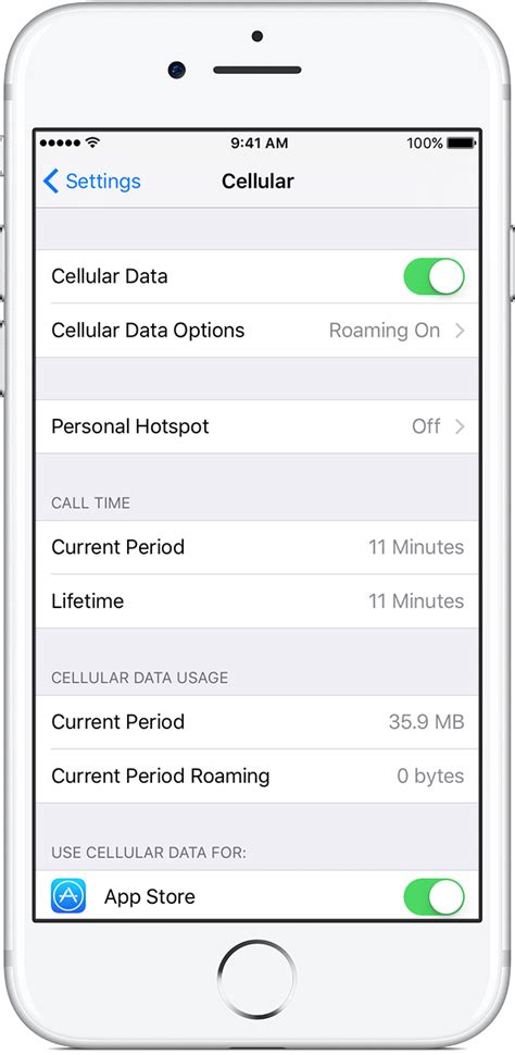 does cellular roaming use data
