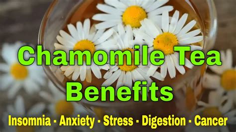 does chamomile tea help with anxiety and stress