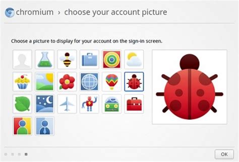 does chrome os support java