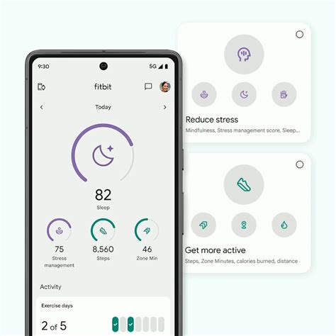 does deleting fitbit app delete data