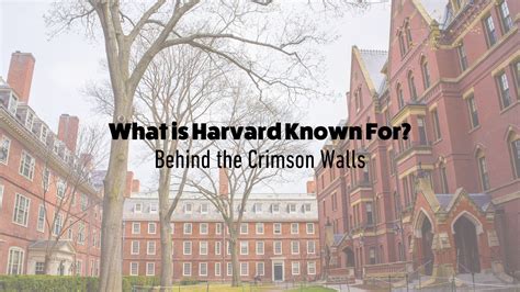 does harvard have architecture