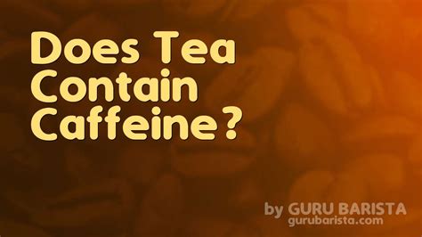 does java tea contain caffeine