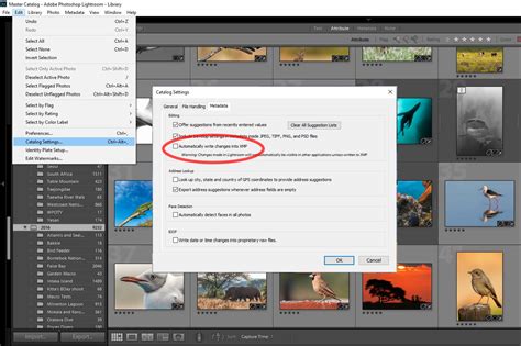 does lightroom automatically save edits