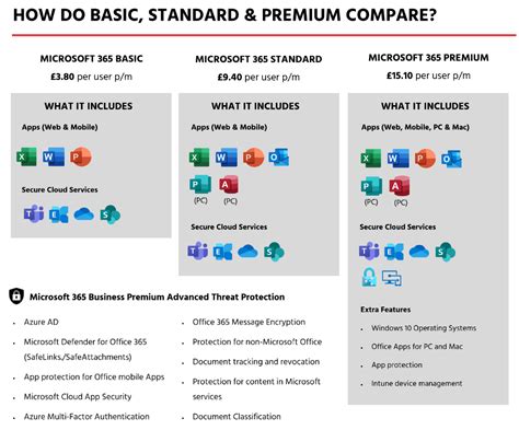 does microsoft 365 basic include excel and word