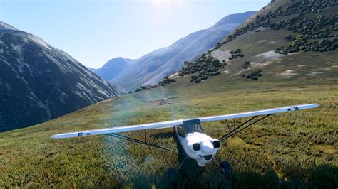 does microsoft flight sim have multiplayer