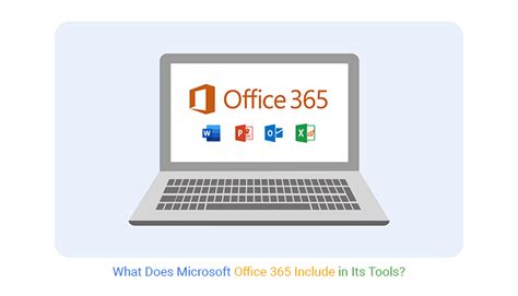 does microsoft office 365 include excel