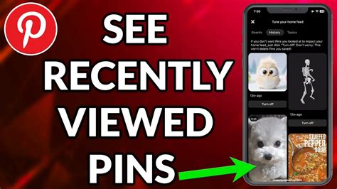 does pinterest show who viewed your pins