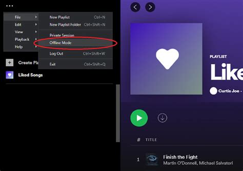 does spotify offline use data