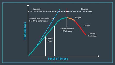 does stress affect performance experiment
