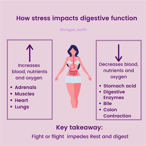 does stress affect the digestive system