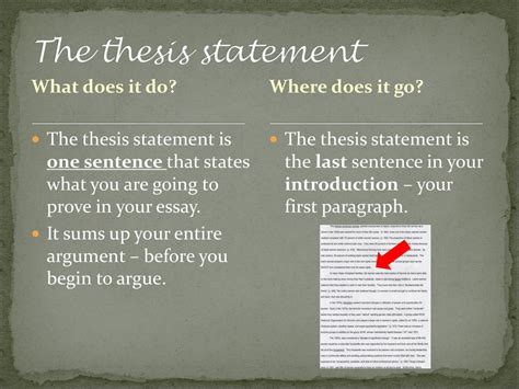 does the thesis go in the introduction