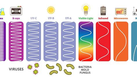 does uv light detect germs