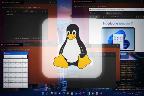 does windows programs work on linux