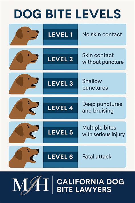 Dog Bite Levels Chart Pictures