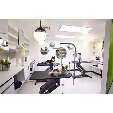 dog grooming salon interior design sustainable decor