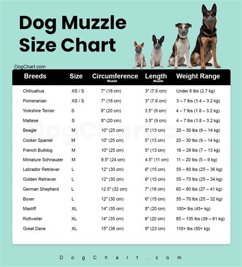 Dog Muzzle Size Chart