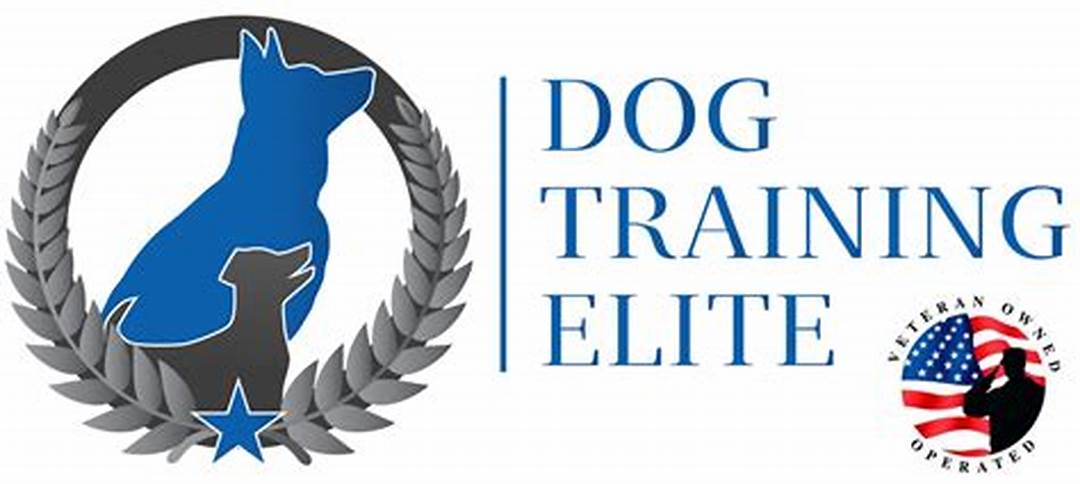Dog Training Elite Houston SEO