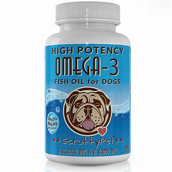 dog with fish oil container