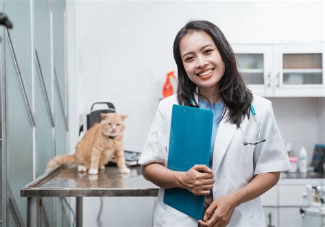 dokter hewan