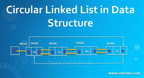 doubly circular linked list in data structure with example