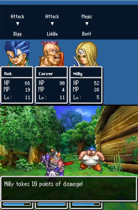 Dq6 Ds Walkthrough