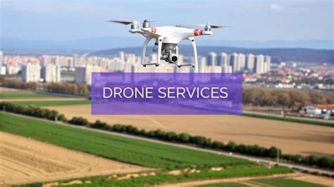 Drone Service