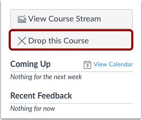 drop a course on canvas