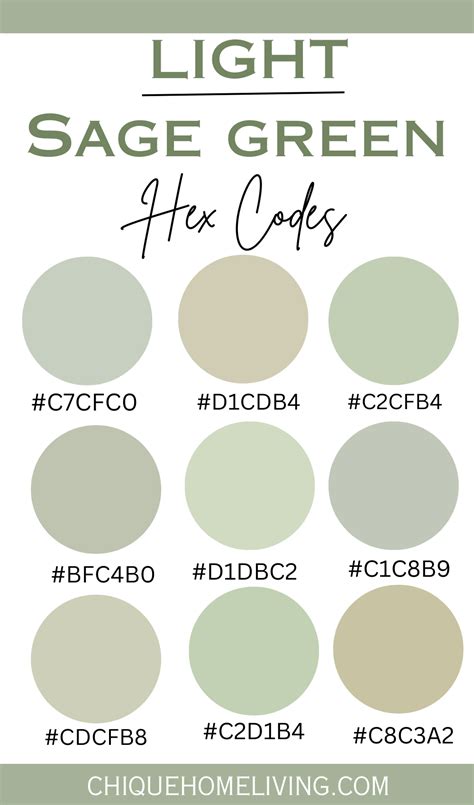 dusty sage green hex code