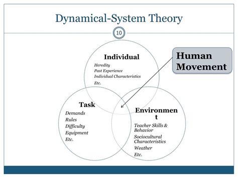 dynamical systems theory