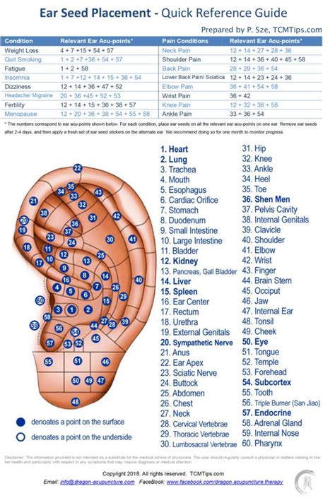 Ear Seeds Placement Chart
