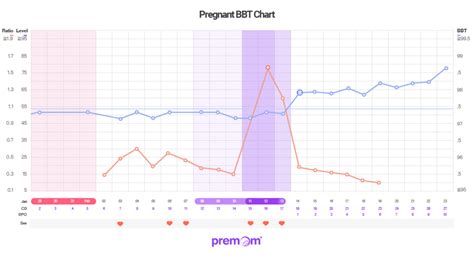 Early Pregnancy Bbt Chart