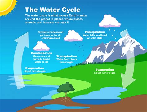 Water Cycle on Earth