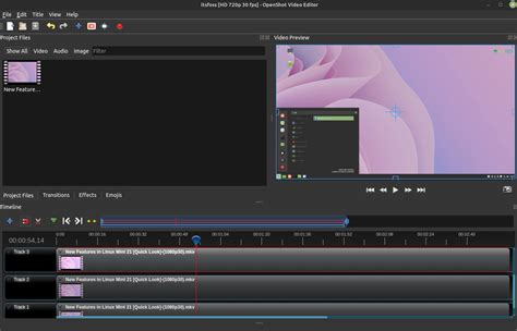 easy to use open source video editor