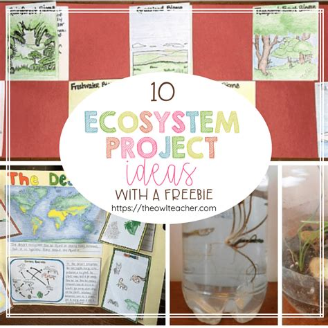 ecological projects examples