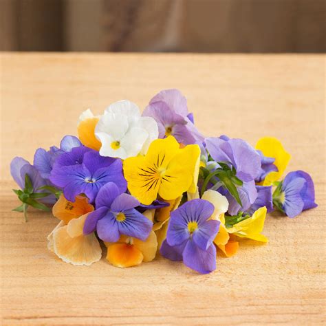 Choose the right edible flowers for garden