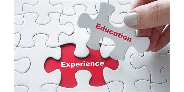 education and experience