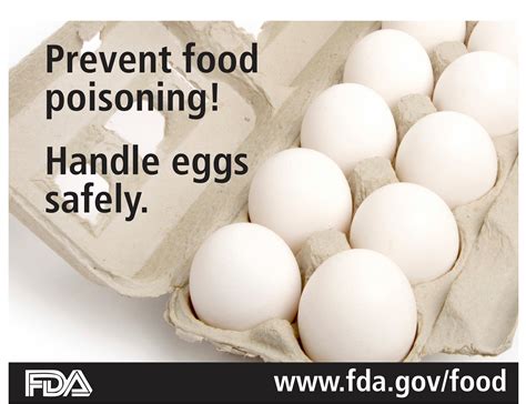 egg factory safety