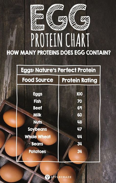 Egg Protein Chart