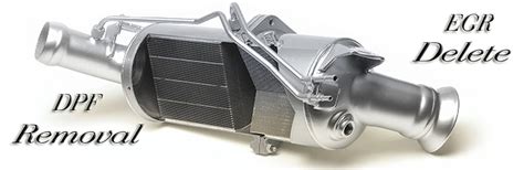 egr delete vs dpf delete
